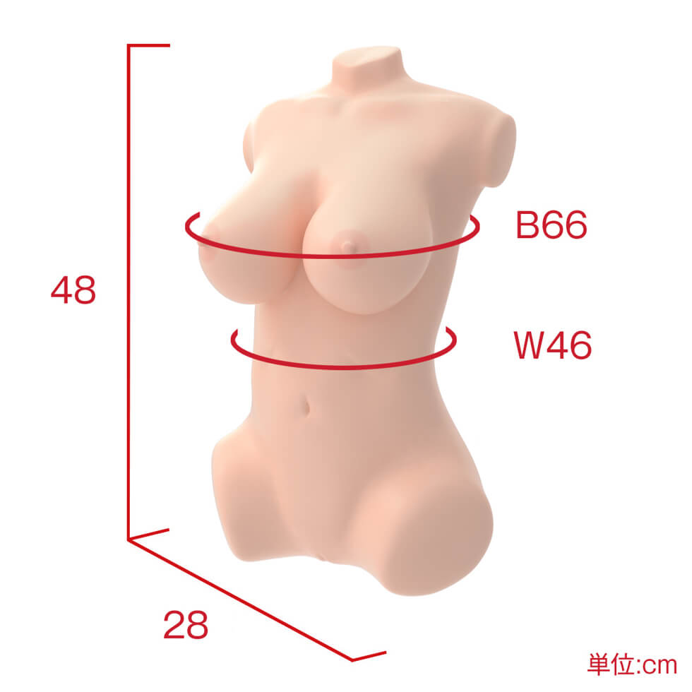 Real Body + 3D Bone System You Youjiang Japan Version